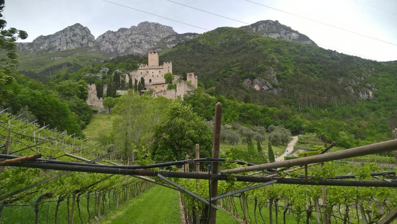 Appartamenti Camere Masi Brenta โรเวเรโต ภายนอก รูปภาพ